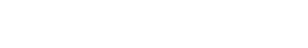 Small Bus Server