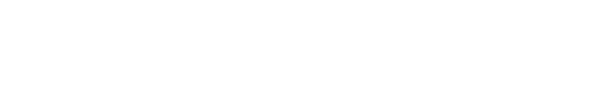 IT Self-Test